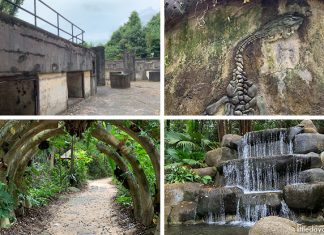 Mount Imbiah Trail and Nature Walk, Sentosa: Dragon Waterfall & WW2 Ruins