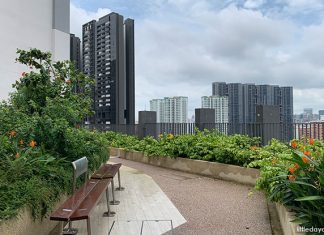 SkyResidence @ Dawson Roof Garden Views