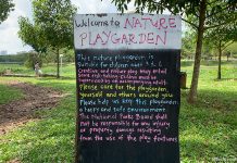 Bishan-Ang Mo Kio Park Nature Playgarden: Simple Outdoor Play For Kids