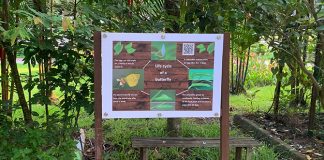 Bukit Panjang Butterfly Garden: Neighbourhood Green Spot At Petir Road