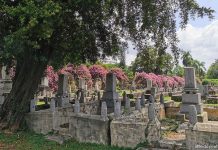 Japanese Cemetery Park: Tranquil Spot Hidden Away In Hougang