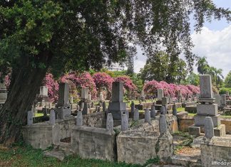 Japanese Cemetery Park: Tranquil Spot Hidden Away In Hougang