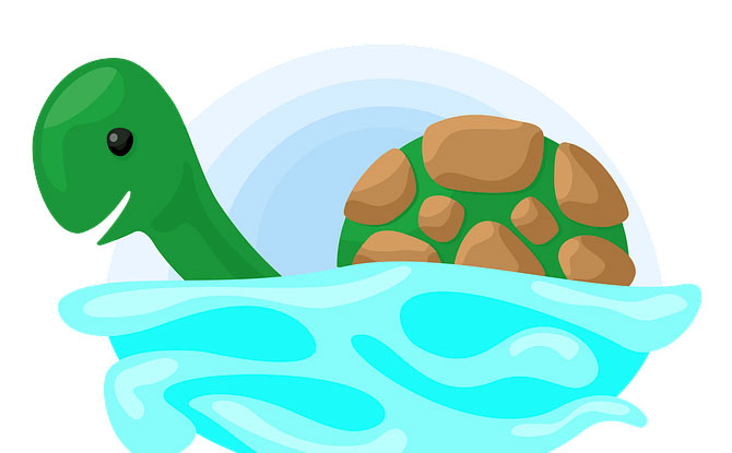 sea turtle jokes