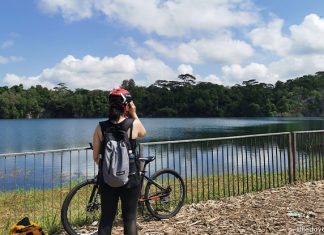 Head Out Cycling at Pulau Ubin