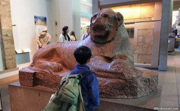 7 Best London Museums For Kids Educational Interesting Must Visit   02 Best London Museums Kids 356x220 