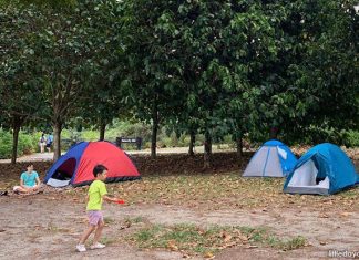 Pulau Ubin Camping With Kids: A Taste Of Rustic