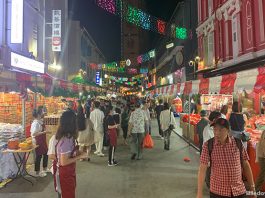 Chinatown Chinese New Year Light Up & Celebrations 2025: What To See & Do