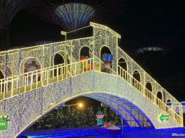 Christmas Wonderland 2021 At Gardens By The Bay: Festive Lights, Venetian Carousel & More