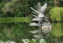 Singapore Botanic Gardens & Fort Canning Park Heritage Festival 2024