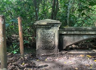 MacRitchie Reservoir Trail: Trekking Around The Central Catchment Nature Reserve