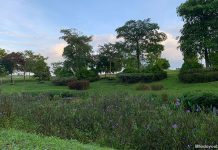 Holland Green Linear Park: A Walk Beside The Canal & Visit To A Playground - rain garden