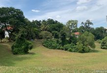 Tanglin Halt Rail Corridor & Wessex Estate: From Tracks To The Water Tower