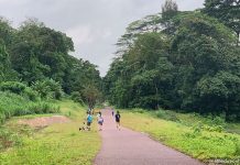Walking The Rail Corridor: Exploring The Clementi Forest & Old Bukit Timah Railway Station