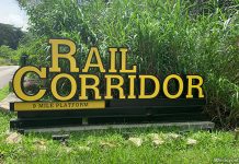 Rail Corridor North: From Kranji To Hillview & 9 Mile Platform