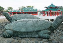 Kusu Island: 8 Things To See And Do On The Tortoise Island