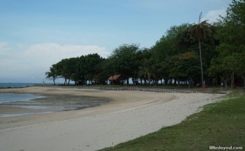 Kusu Island: 8 Things To See And Do On The Tortoise Island - Little Day Out