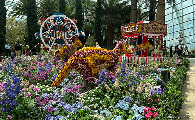 Highlights at Carnival of Flowers, the Australia-themed Display at Flower Dome, Gardens by the Bay