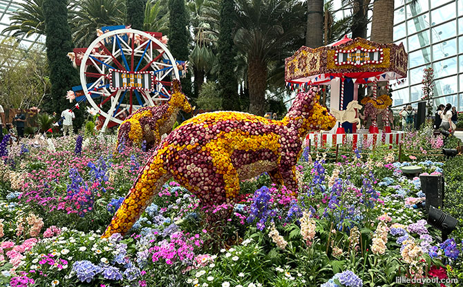 Carnival Of Flowers: Australia-Themed Floral Display At Gardens By The Bay