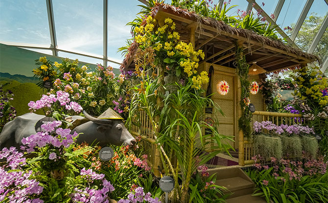 Bahay Kubo, Other Artefacts & Biodiversity on Display