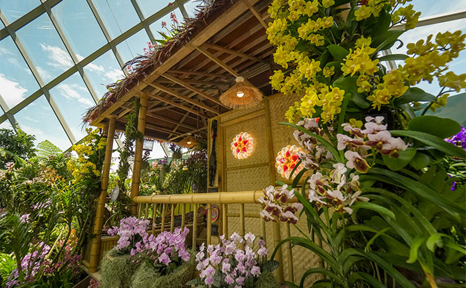 Gardens By The Bahay Kubo: A Fiesta Of Orchids At Cloud Forest