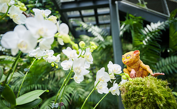 Displays at Philippines floral display at Gardens by the Bay