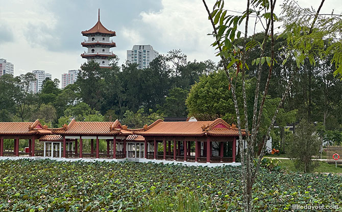 Chinese Garden: Cross The White Rainbow Bridge To The Grand Arch, Cloud Pagoda & More Iconic Sights