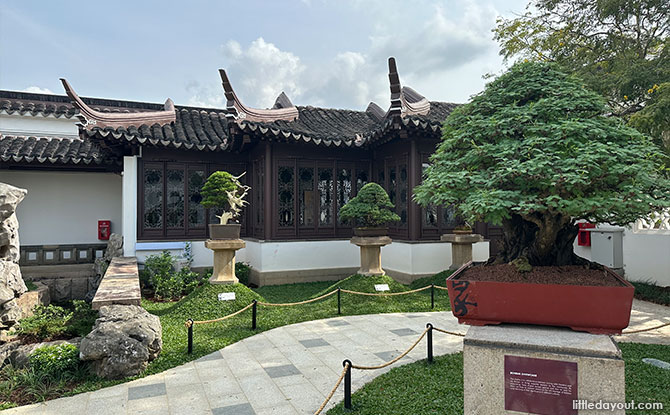 Bonsai Garden, Chinese Garden