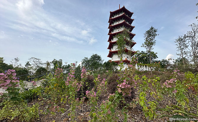 Take a Walk Back in Time at Chinese Garden at Jurong Lake Gardens