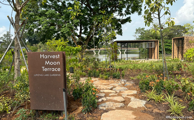 Harvest Lantern Terrace