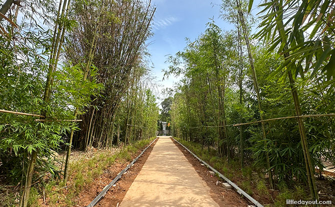 Bamboo Tunnel and Waterfall