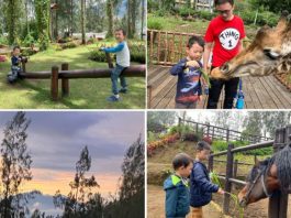 East Java Holiday With Kids