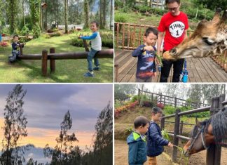 East Java Holiday With Kids