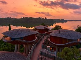 Reservations For Mandai Rainforest Resort By Banyan Tree To Open On 24 Jan 2025