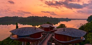 Reservations For Mandai Rainforest Resort By Banyan Tree To Open On 24 Jan 2025