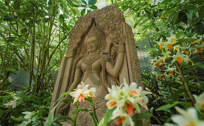 Orchids of Angkor Wat, Cloud Forest