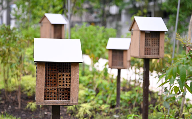 bee hotel at Pek Kio Park