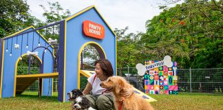 Paws & Play: Singapore's Largest Outdoor Dog Playground Is Now Open Till 29 Dec