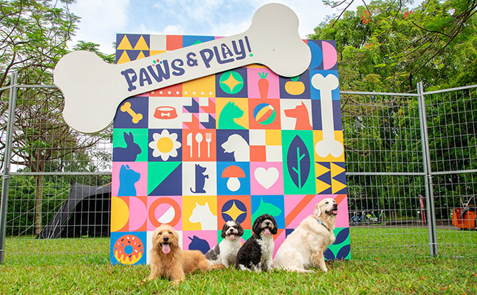 Paws and Play Backdrop