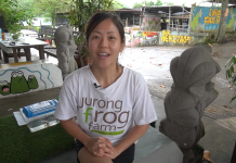 jurong frog farm