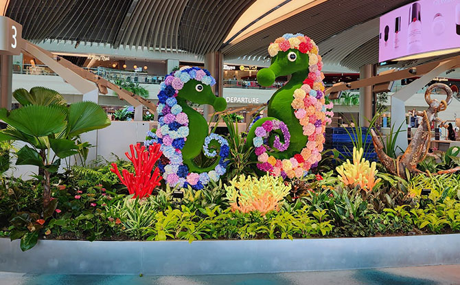 Marine Fantasy Floral Display at Changi Airport Terminal 2