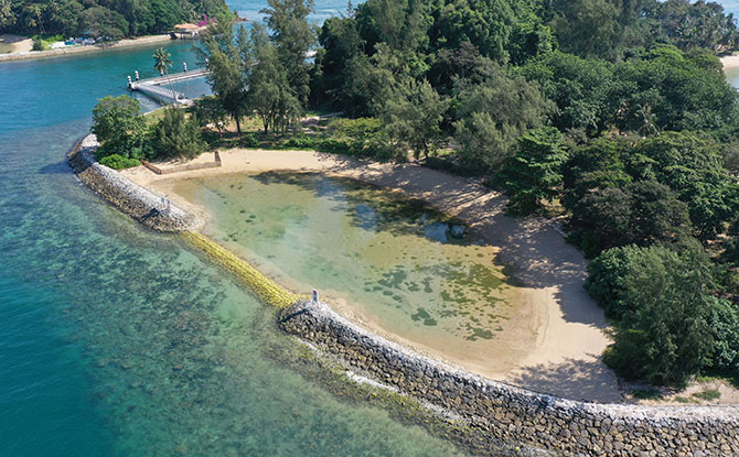 Lagoon Tidal Pool