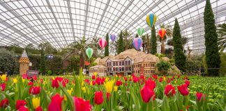 Tulipmania 2023: Origins of the Tulip – Türkiye Theme At Gardens By The Bay Flower Dome