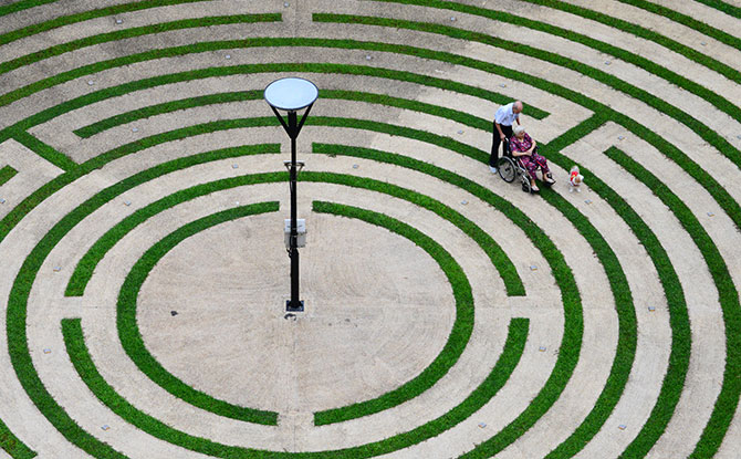 Tampines Maze Garden