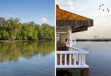 Sungei Buloh Nature Park Network & Lim Chu Kang Nature Park: Strengthening The Habitats Along Singapore’s Northern Coast