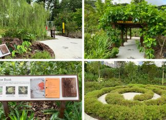 Children’s Discovery Area At Jurong Lake Garden’s Therapeutic Garden: An Outdoor Classroom To Engage The Senses
