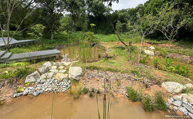 Marshland Boardwalk at Bidadari Park