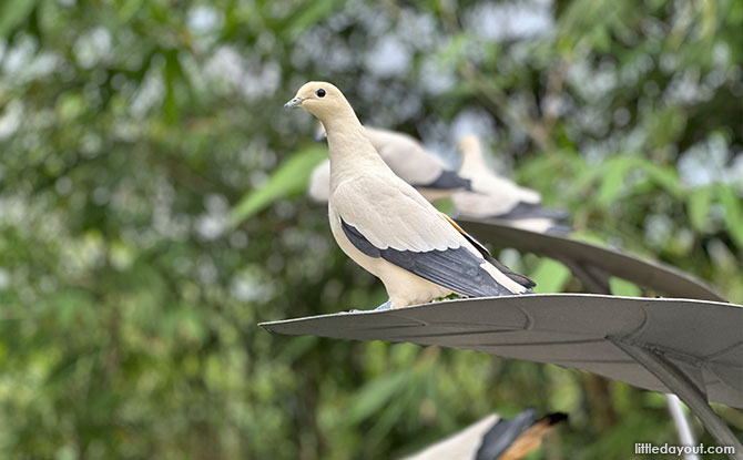 Overview of Bird Paradise in Mandai, Singapore