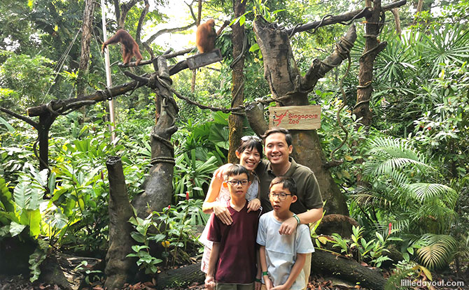 Breakfast with the orangutans at Singapore Zoo