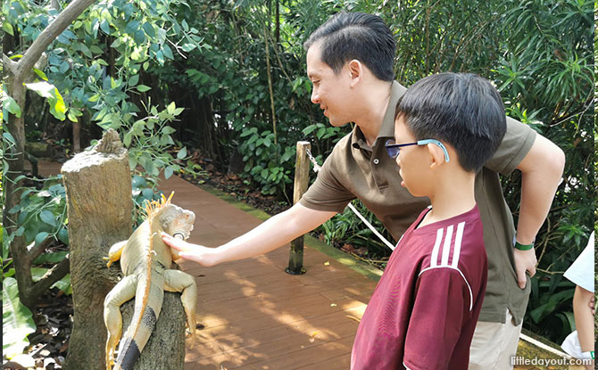Animal encounters at Singapore Zoo