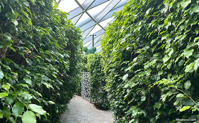 Hedge Maze at Canopy Park Jewel Changi